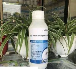 aqua_resigen_10-4-ew